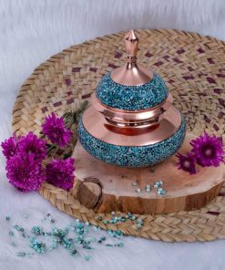 دخل فیروزه کوب